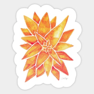 Orange Aloe Vera Sticker